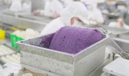 瓜州吃货网红事件真相,揭秘背后真相与争议