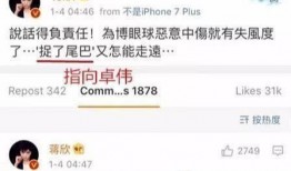 卓伟爆料刘涛视频,真相揭秘